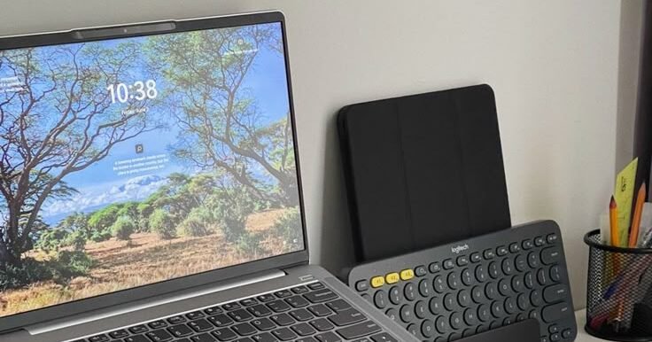 College Friendships – The Bonds That Shape Our Journey